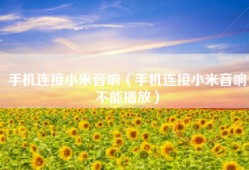 手机连接小米音响（手机连接小米音响不能播放）