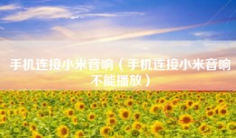 手机连接小米音响（手机连接小米音响不能播放）