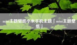 miui主题壁纸小米手机主题「miui主题壁纸」
