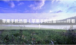 苹果手机迅雷（苹果手机迅雷torrent咋看）