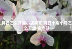 抖音怎么开通小店卖家 抖音小店小号怎么开通 全攻略