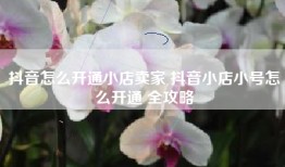 抖音怎么开通小店卖家 抖音小店小号怎么开通 全攻略