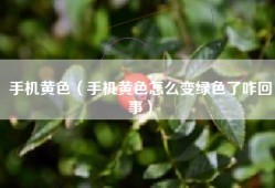手机黄色（手机黄色怎么变绿色了咋回事）