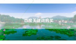 百度关键词购买