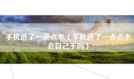 手机进了一点点水（手机进了一点点水会自己干吗）