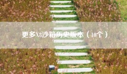 更多X8沙箱历史版本（10个）
