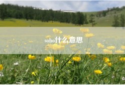 soho什么意思
