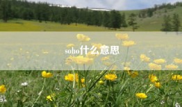 soho什么意思