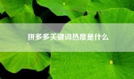 拼多多关键词热度是什么