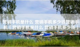 营销手机是什么 营销手机多少钱营销手机「营销手机是什么 营销手机多少钱」