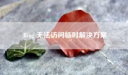 Bing 无法访问临时解决方案