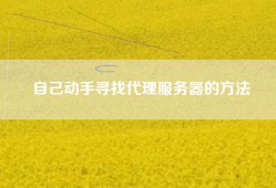 自己动手寻找代理服务器的方法