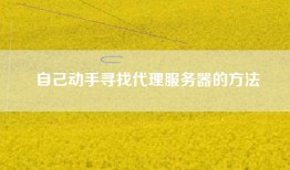 自己动手寻找代理服务器的方法