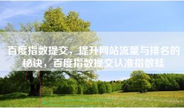 百度指数提交，提升网站流量与排名的秘诀，百度指数提交认准指数蛙