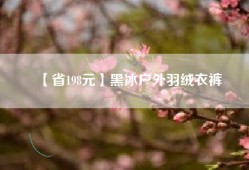 【省198元】黑冰户外羽绒衣裤
