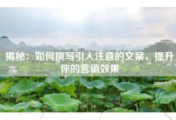 揭秘：如何撰写引人注意的文案，提升你的营销效果