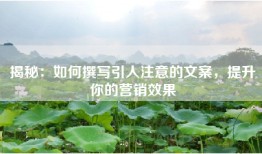 揭秘：如何撰写引人注意的文案，提升你的营销效果