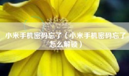 小米手机密码忘了（小米手机密码忘了怎么解锁）