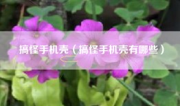 搞怪手机壳（搞怪手机壳有哪些）