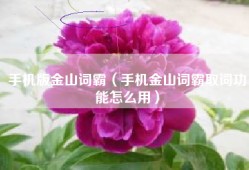 手机版金山词霸（手机金山词霸取词功能怎么用）