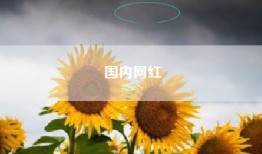 国内网红