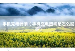 手机充电器响（手机充电器响是怎么回事）