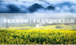 手机充电器响（手机充电器响是怎么回事）