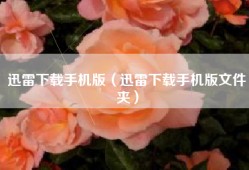 迅雷下载手机版（迅雷下载手机版文件夹）