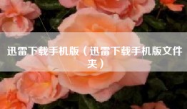 迅雷下载手机版（迅雷下载手机版文件夹）
