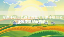 苹果手机怎么设置流量（苹果手机怎么设置流量提醒功能）