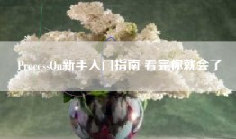 ProcessOn新手入门指南 看完你就会了
