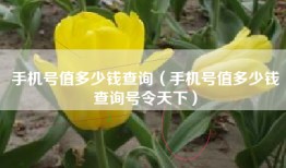 手机号值多少钱查询（手机号值多少钱查询号令天下）