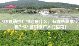 SEM营销推广到底是什么，有哪些基本步骤？SEM营销推广入门指南！