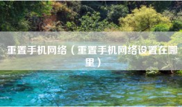 重置手机网络（重置手机网络设置在哪里）