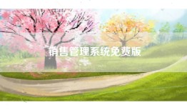 销售管理系统免费版