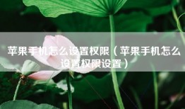 苹果手机怎么设置权限（苹果手机怎么设置权限设置）
