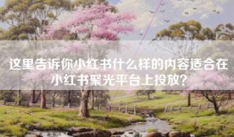 这里告诉你小红书什么样的内容适合在小红书聚光平台上投放？