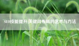 SEO技能提升,关键词布局的艺术与方法