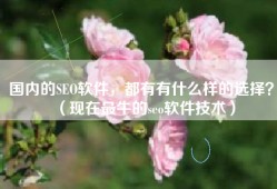 国内的SEO软件，都有有什么样的选择？（现在最牛的seo软件技术）