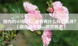 国内的SEO软件，都有有什么样的选择？（现在最牛的seo软件技术）