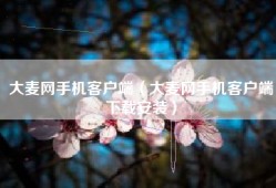 大麦网手机客户端（大麦网手机客户端下载安装）