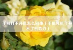 手机打不开机怎么回事（手机死机了开不了机咋办）