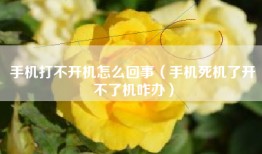 手机打不开机怎么回事（手机死机了开不了机咋办）