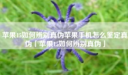苹果15如何辨别真伪苹果手机怎么鉴定真伪「苹果15如何辨别真伪」