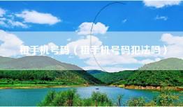 租手机号码（租手机号码犯法吗）