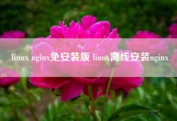 linux nginx免安装版 linux离线安装nginx