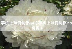 手机上如何制作ppt（手机上如何制作PPT免费）