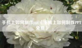 手机上如何制作ppt（手机上如何制作PPT免费）