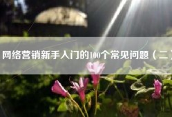 网络营销新手入门的100个常见问题（二）