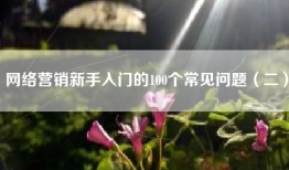 网络营销新手入门的100个常见问题（二）